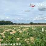 Maison à construire à Saint-Jean-de-Liversay (17170)