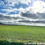 Terrain à bâtir à Angliers (17540)