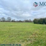 Terrain à bâtir à Saint-Georges-du-Bois (17700)