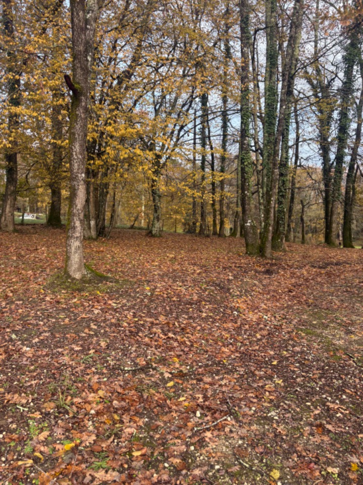Terrain à bâtir à Camarsac (33750)