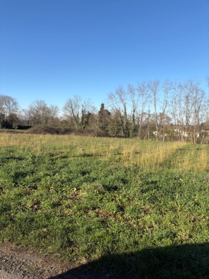 Terrain à bâtir à Branne (33420)