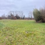 Terrain à bâtir à Pineuilh (33220)