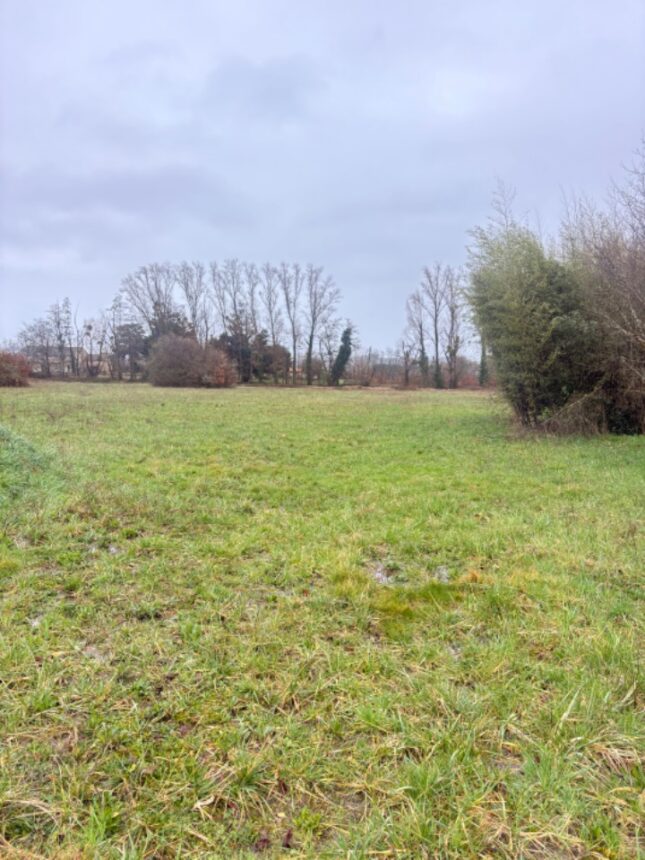 Terrain à bâtir à Pineuilh (33220)