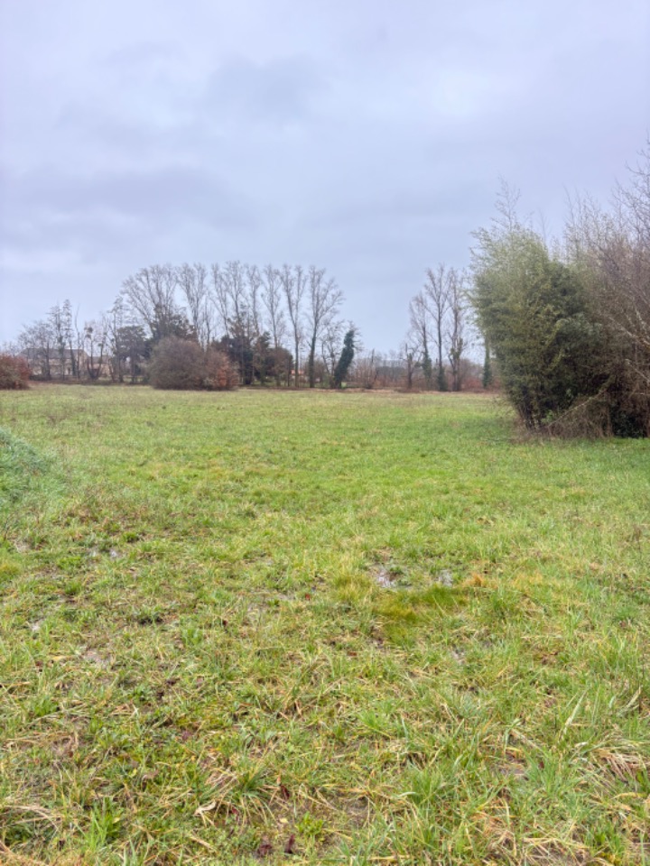 Terrain à bâtir à Pineuilh (33220)