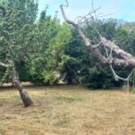 Terrain à bâtir à Montpon-Ménestérol (24700)