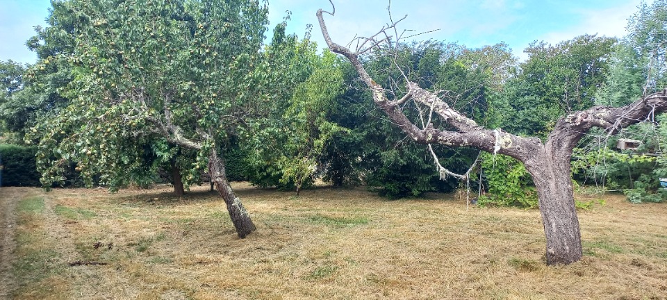 Terrain à bâtir à Montpon-Ménestérol (24700)