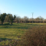 Terrain à bâtir à Ménesplet (24700)