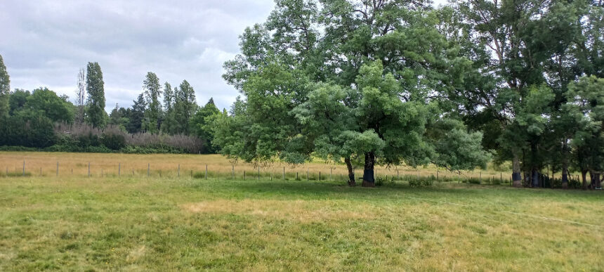Terrain à bâtir à Ménesplet (24700)