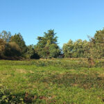 Terrain à bâtir à Saint-Rémy (24700)