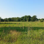 Terrain à bâtir à Ménesplet (24700)