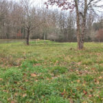 Terrain à bâtir à Saint-Barthélemy-de-Bellegarde (24700)