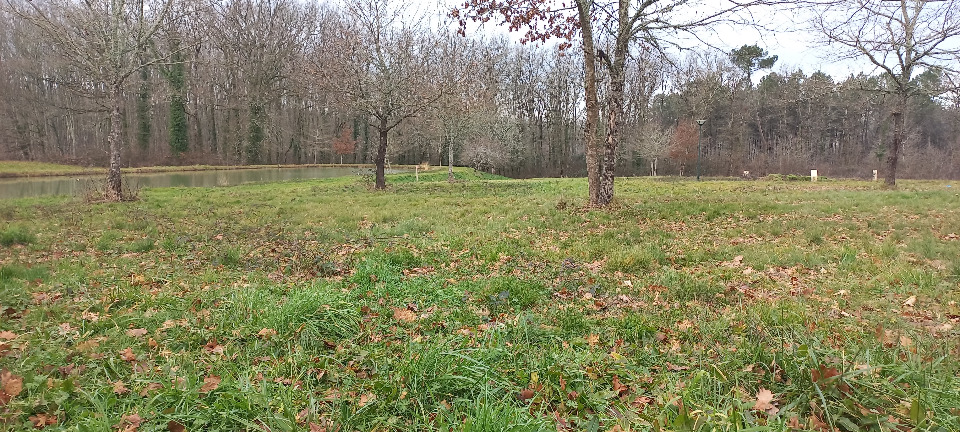 Terrain à bâtir à Saint-Barthélemy-de-Bellegarde (24700)