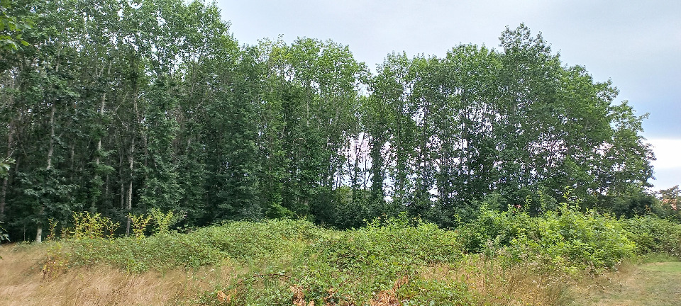 Terrain à bâtir à Ménesplet (24700)