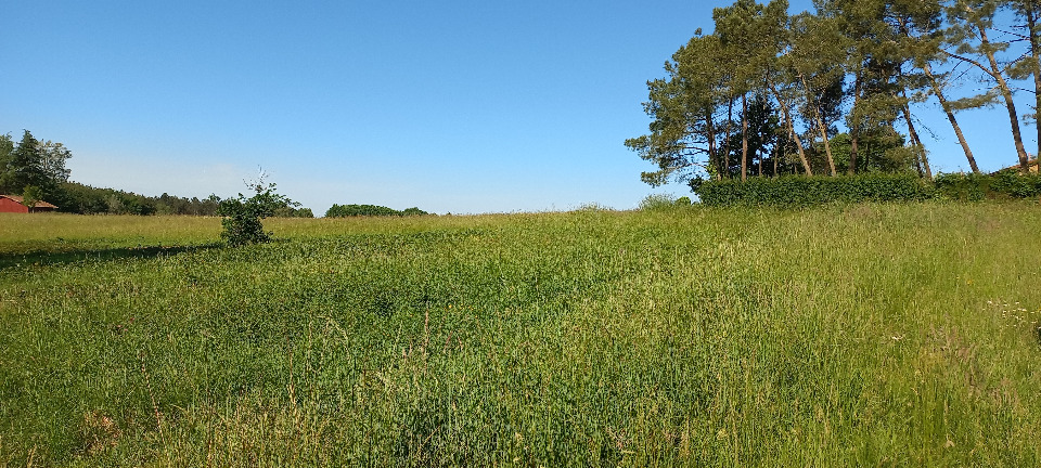 Terrain à bâtir à Échourgnac (24410)