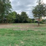 Terrain à bâtir à Léognan (33850)