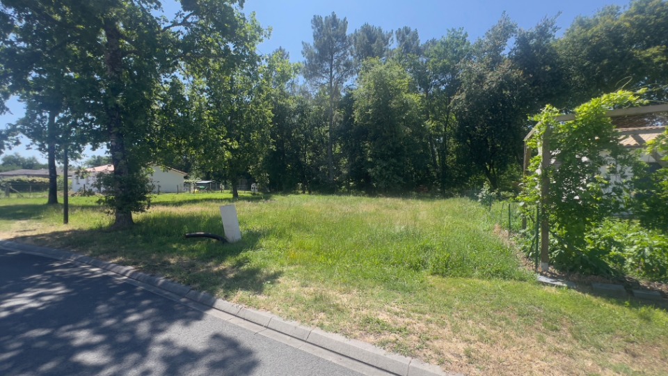 Terrain à bâtir à Castres-Gironde (33640)