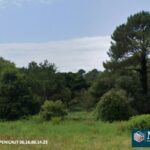 Terrain à bâtir à Messanges (40660)