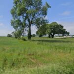 Terrain à bâtir à Saujon (17600)