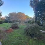 Terrain à bâtir à Breuillet (17920)