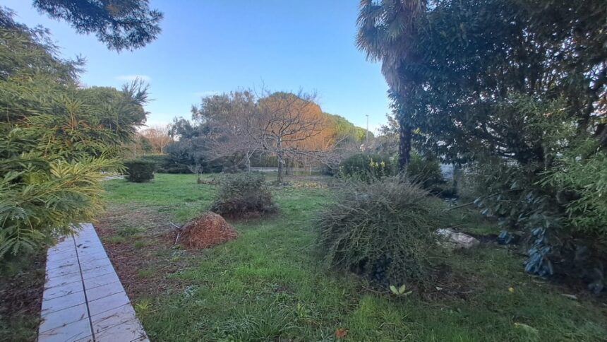 Maison à construire à Breuillet (17920)