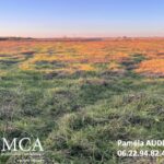 Maison à construire à Cérons (33720)