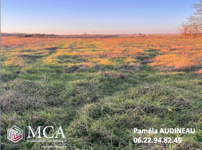 Maison à construire à Cérons (33720)