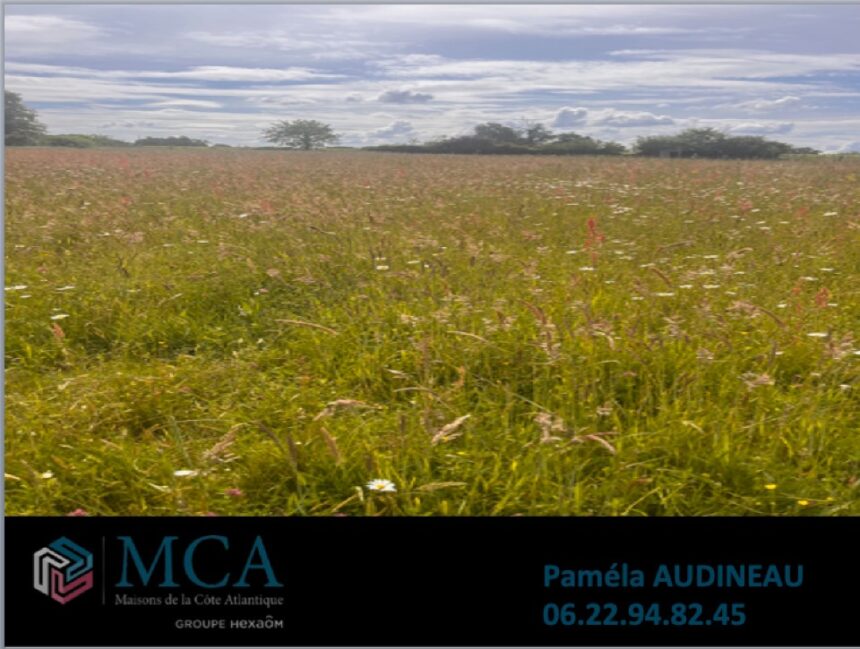 Maison à construire à Capian (33550)