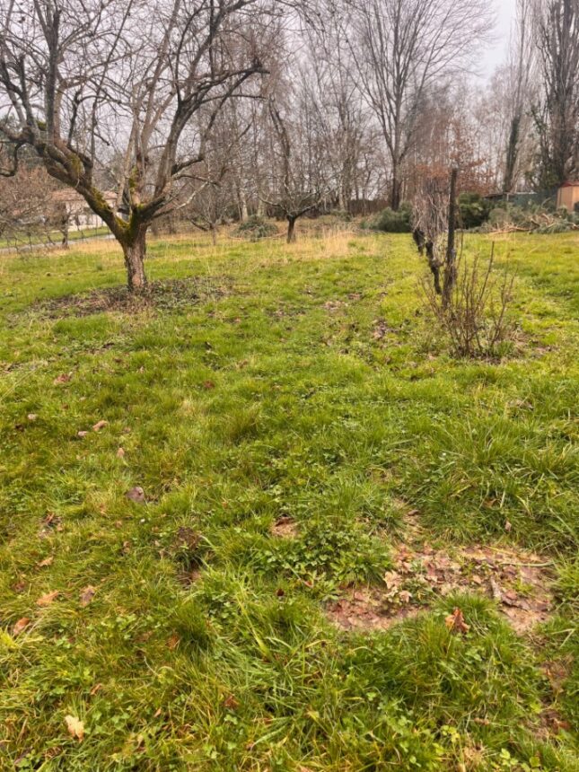 Maison à construire à Madirac (33670)