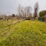 Terrain à bâtir à Créon (33670)