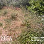 Maison à construire à Cadillac (33410)