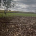 Maison à construire à Créon (33670)