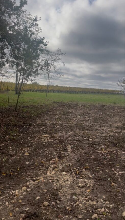 Maison à construire à Créon (33670)