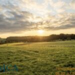 Maison à construire à Martillac (33650)