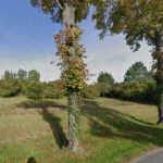 Terrain à bâtir à Lonzac (17520)