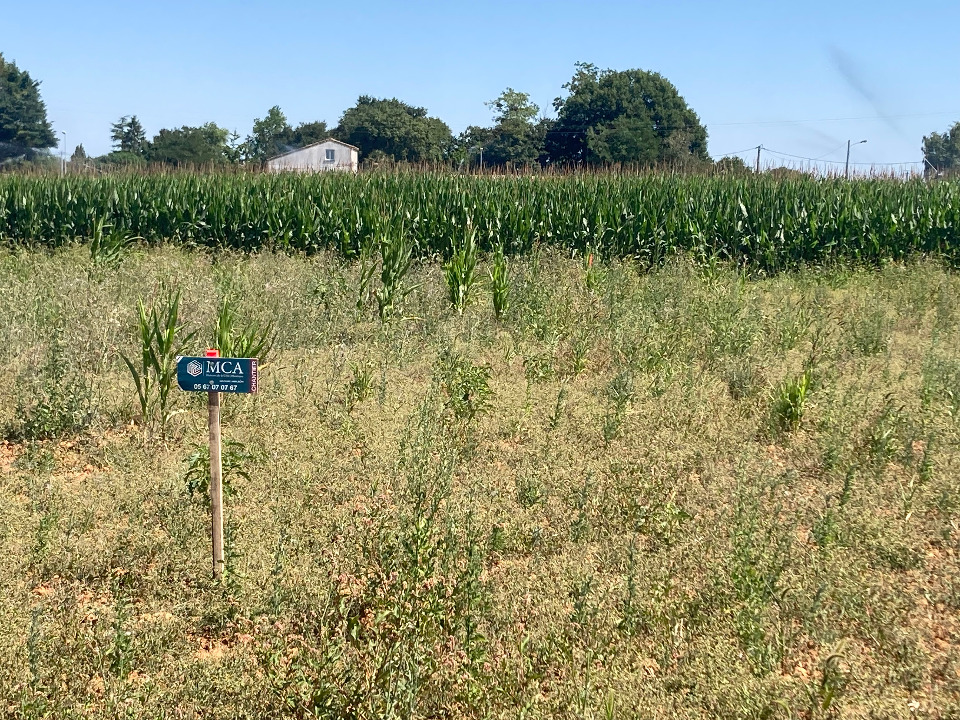 Terrain à bâtir à Balanzac (17600)
