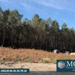 Maison à construire à Vielle-Saint-Girons (40560)