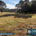 Maison à construire à Vielle-Saint-Girons (40560)