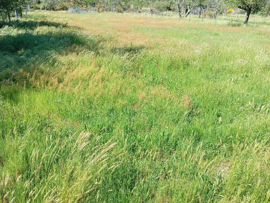 Maison à construire à Mios (33380)