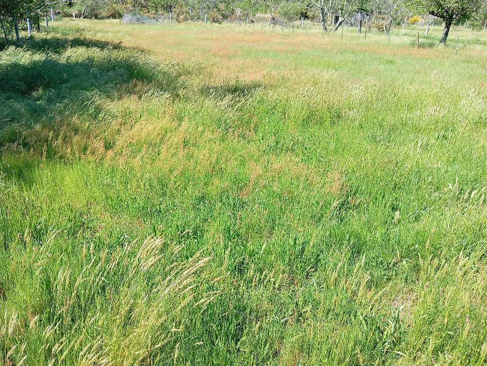 Terrain à bâtir à Mios (33380)