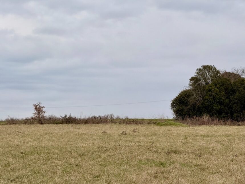 Maison à construire à Saint-Aubin-de-Lanquais (24560)