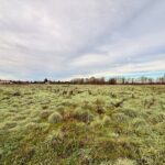 Terrain à bâtir à La Force (24130)