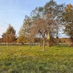 Terrain à bâtir à La Force (24130)