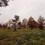 Terrain à bâtir à Maurens (24140)