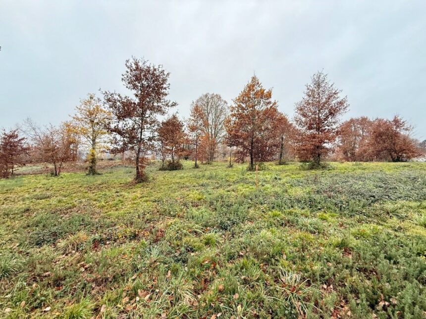 Terrain à bâtir à Maurens (24140)