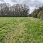 Terrain à bâtir à Gémozac (17260)