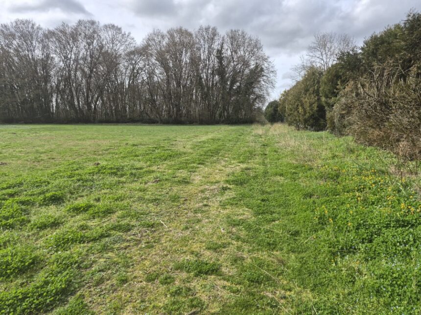 Maison à construire à Gémozac (17260)