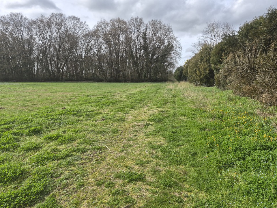Terrain à bâtir à Gémozac (17260)