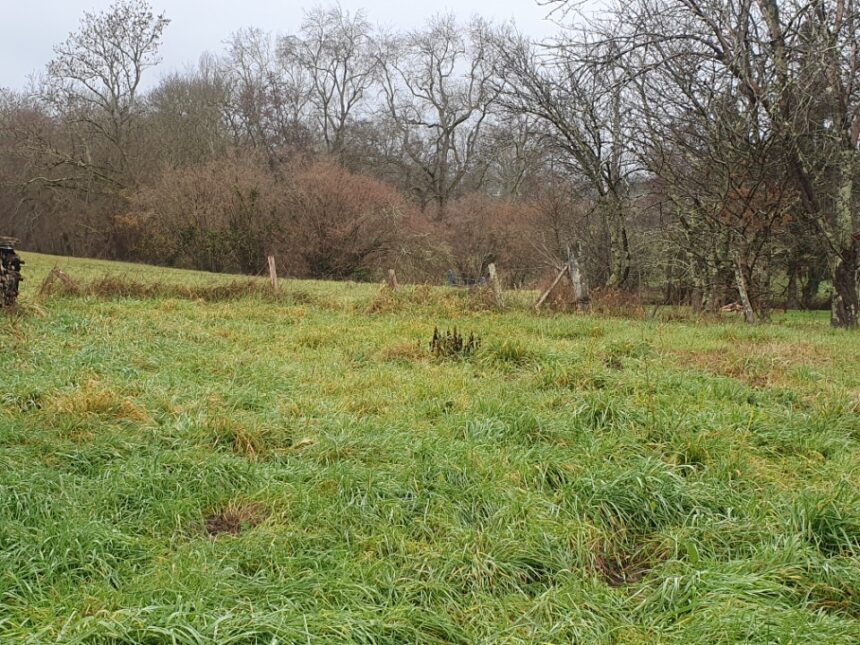 Maison à construire à Salignac (33240)