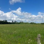 Maison à construire à Saint-Ciers-d’Abzac (33910)