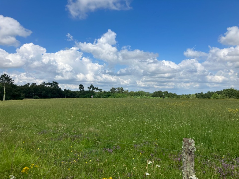 Terrain à bâtir à Saint-Ciers-d’Abzac (33910)